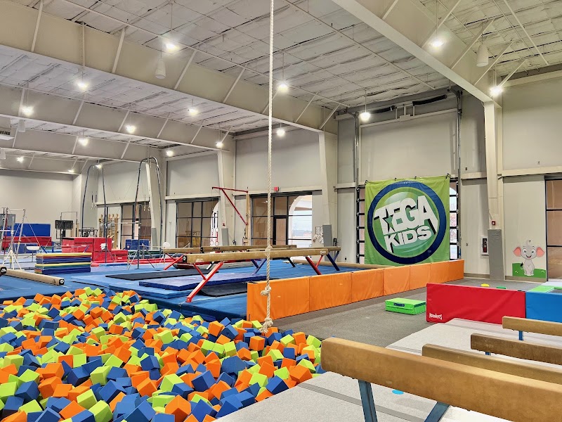 Texas Elite Gymnastics Academy photo 2