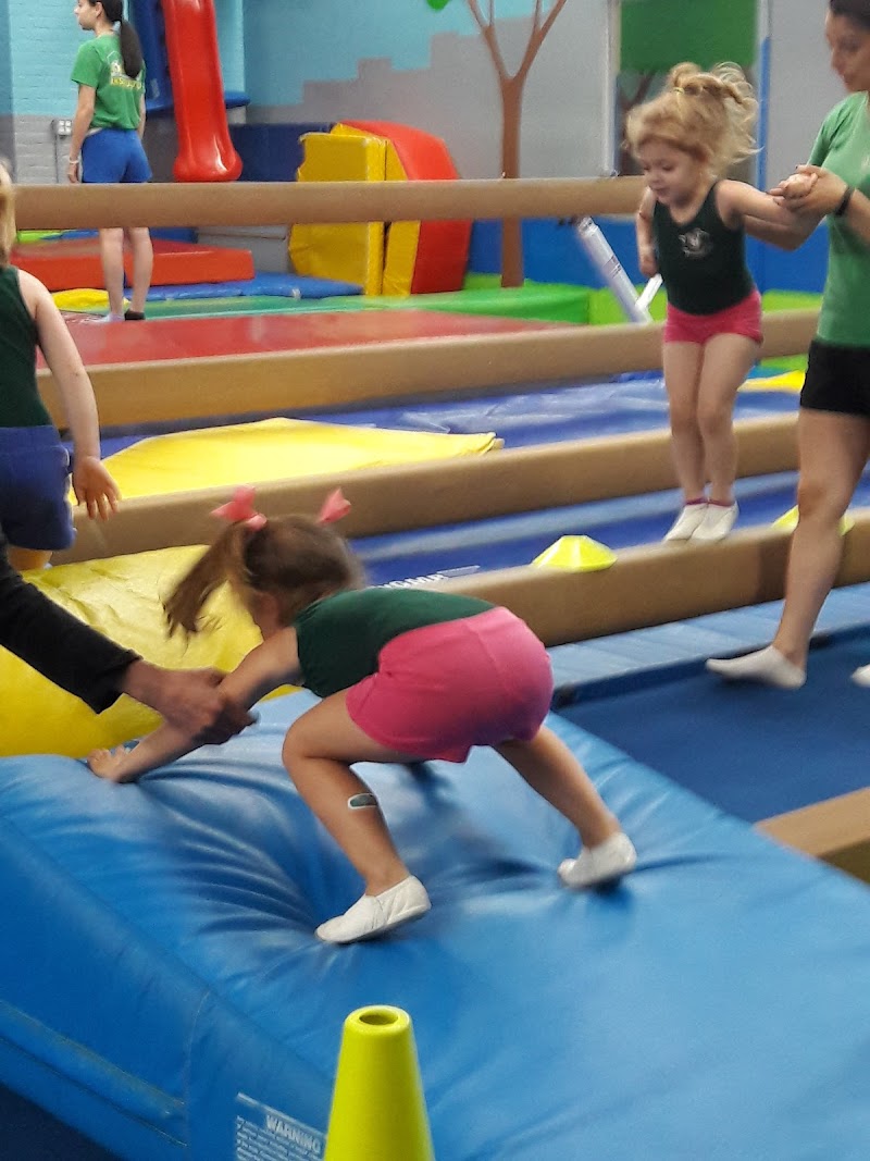 Park City Gymnastics photo 2