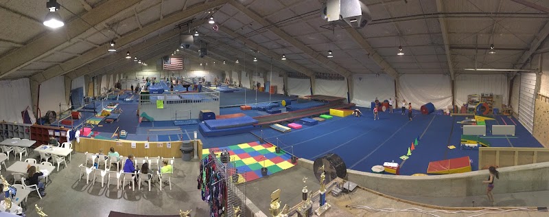 Force Gymnastics