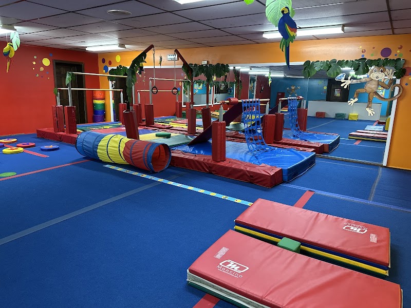 Youngstown Gymnastic Center LLC. photo 2