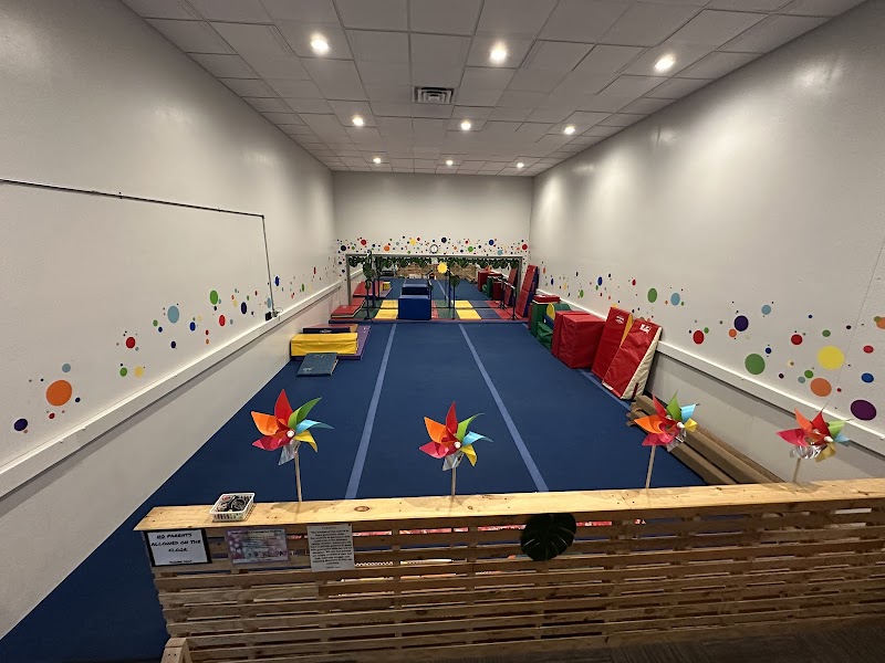 Youngstown Gymnastic Center LLC. photo 3