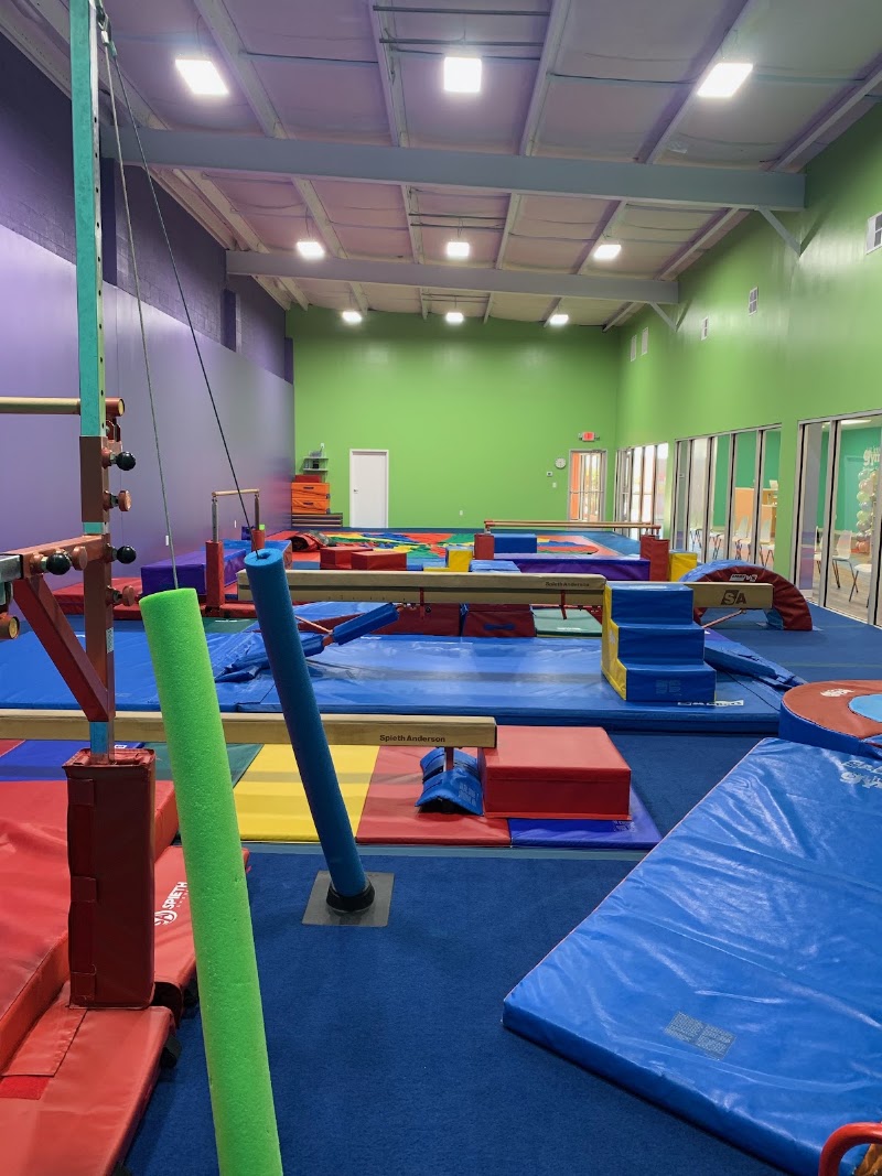 The Little Gym of Greenville photo 2