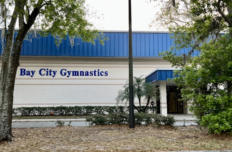 Bay City Gymnastics photo 2