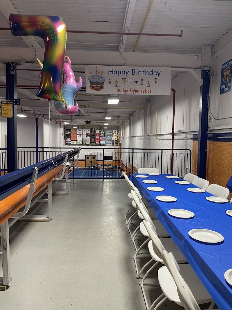 Indigo Gymnastics Center photo 3