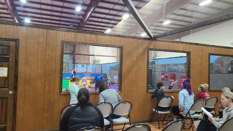 World Class Gymnastics Center photo 3