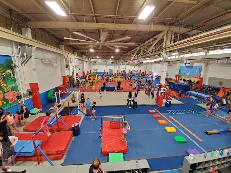 Michigan Elite Gymnastics Academy photo 2
