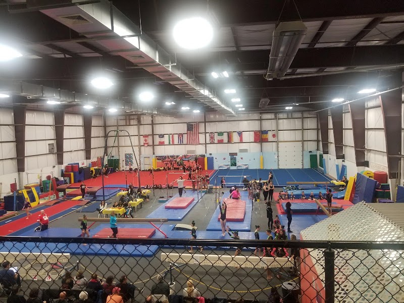 Gym Nest Gymnastics