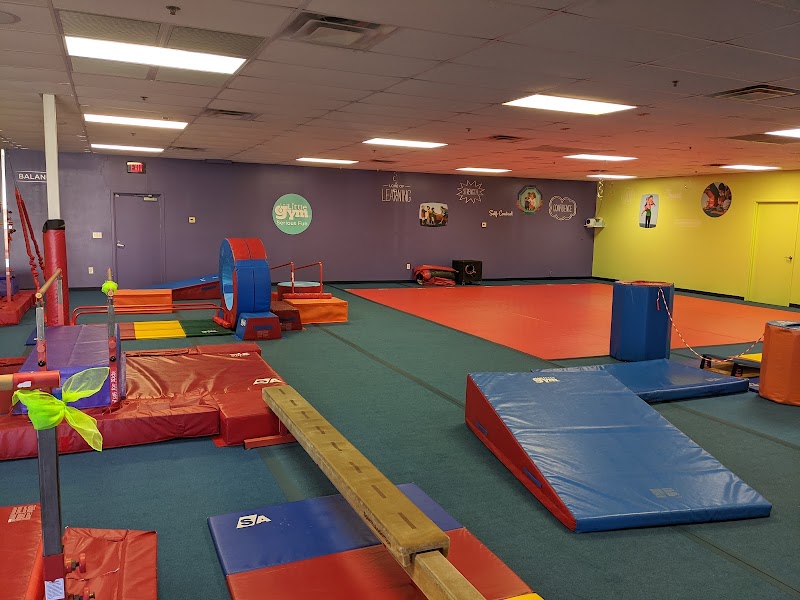The Little Gym photo 2