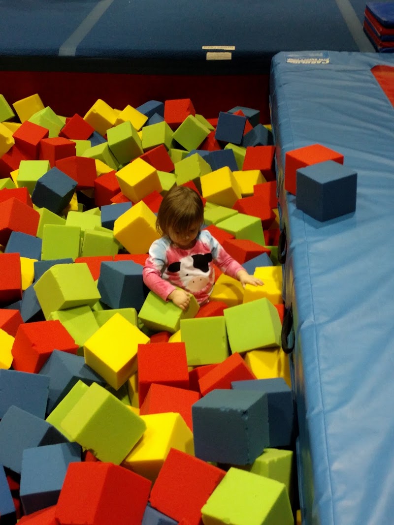Premier Gymnastics Academy Inc