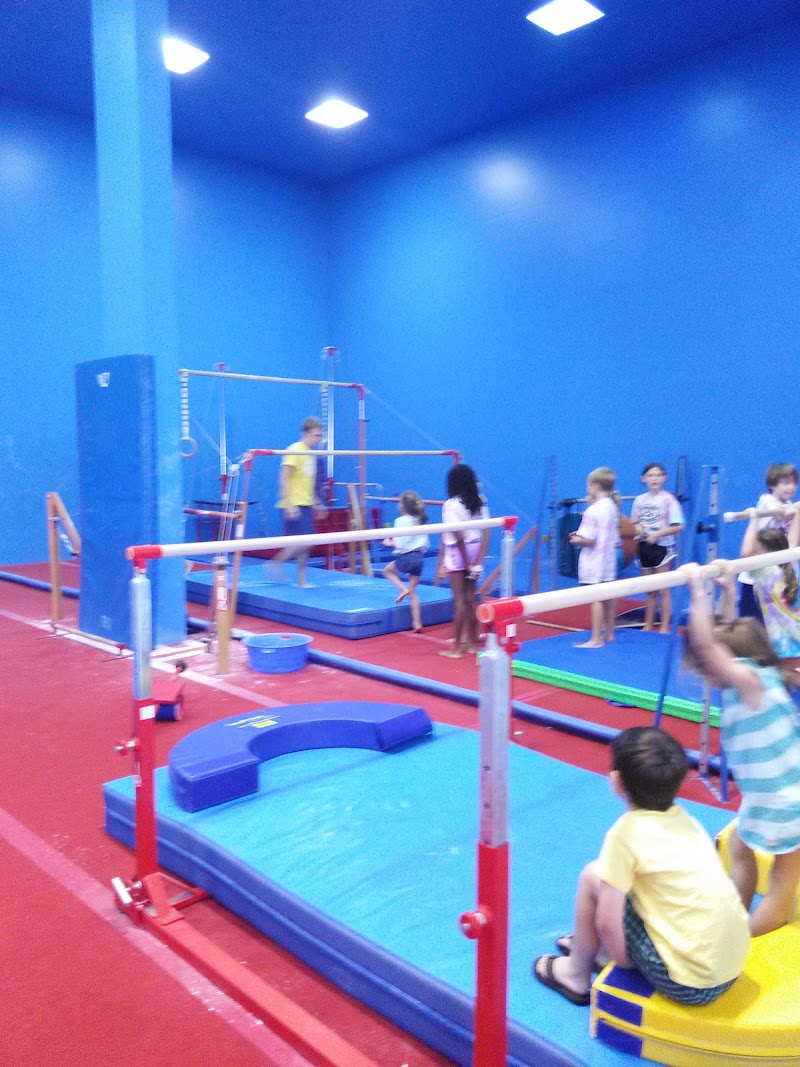 Premier Gymnastics Academy Inc photo 2