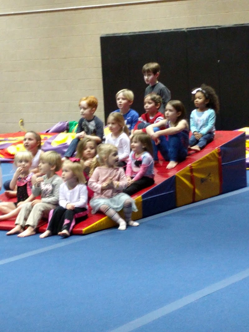 Premier Gymnastics Academy Inc photo 3