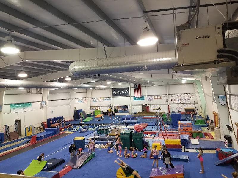 All Around Gymnastics Academy photo 3