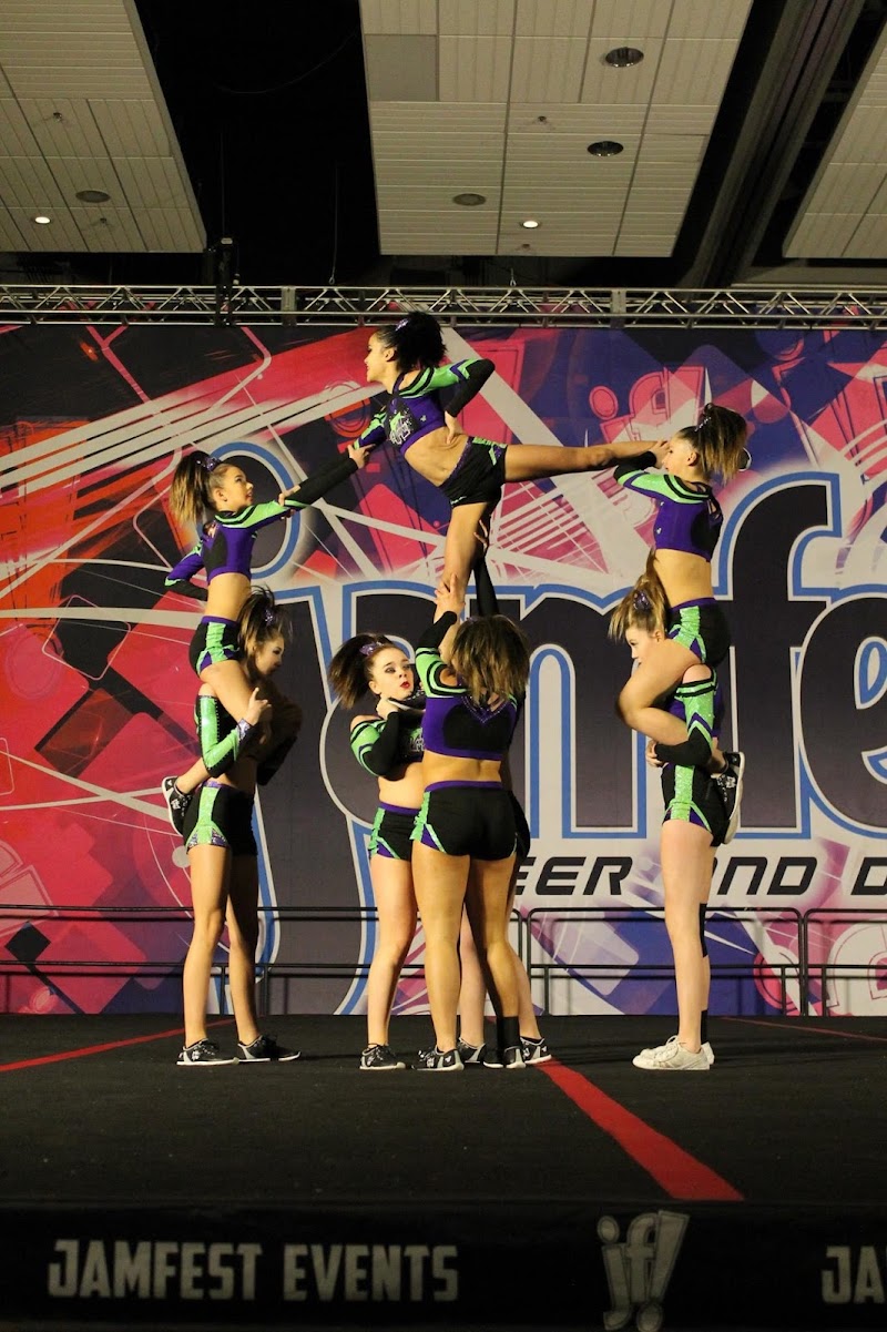 Flip N Out Gymnastics photo 2