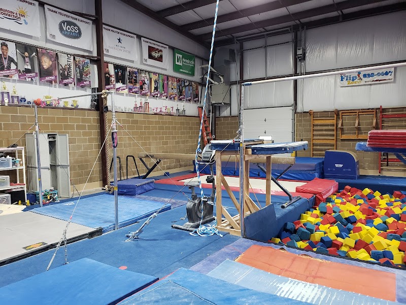 Flip N Out Gymnastics photo 3