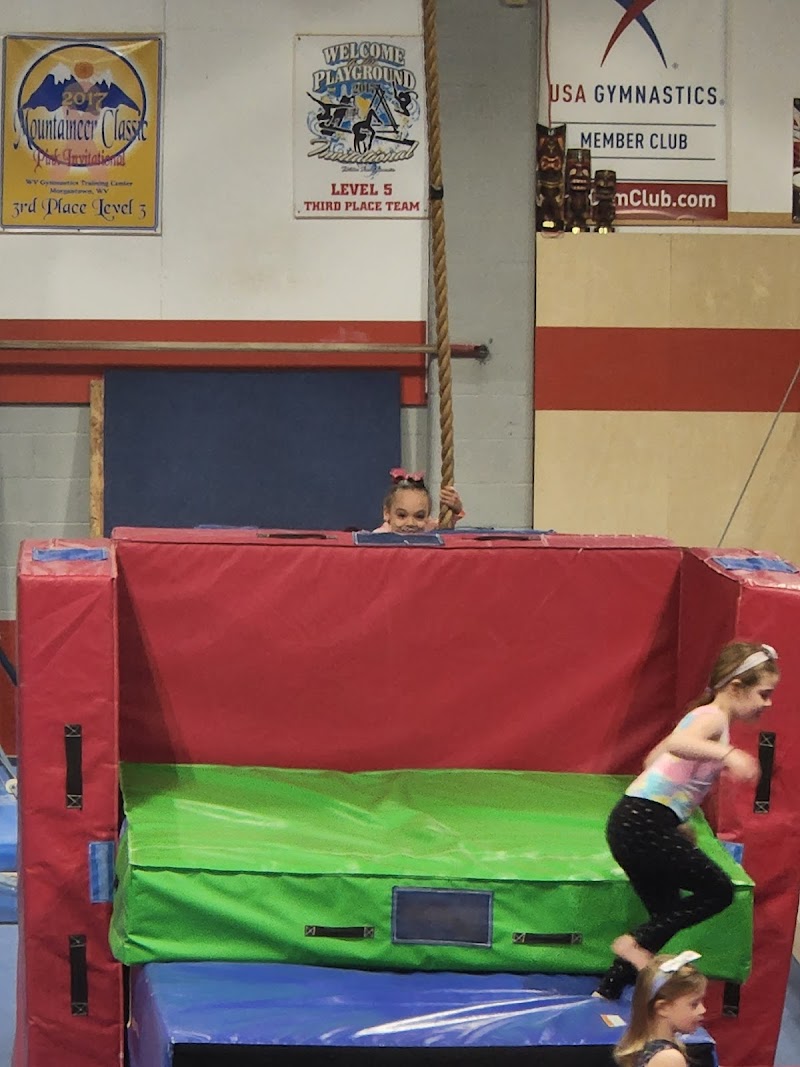 360 Gymnastics photo 3