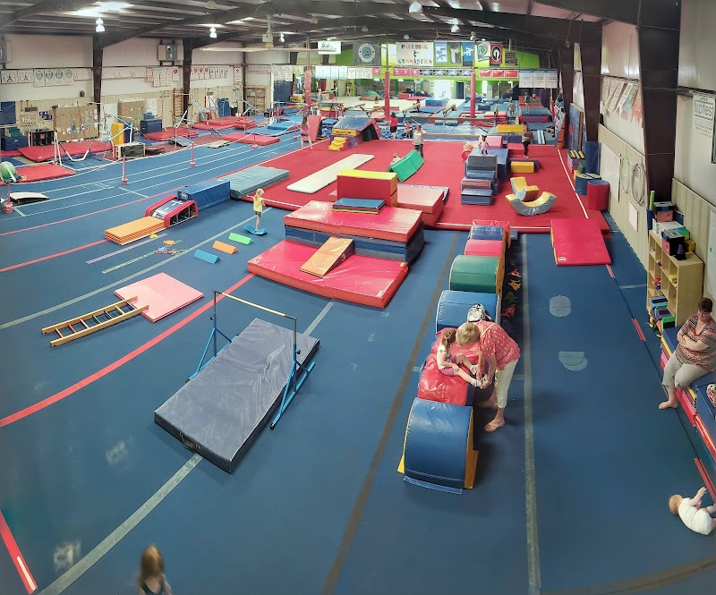 Paulding Gymnastics