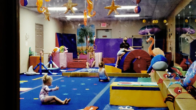 Paulding Gymnastics photo 2