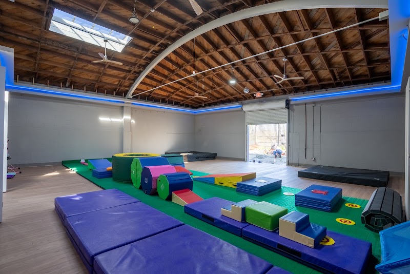 Momentum Academy: ABA, Gymnastics, & Social Skills
