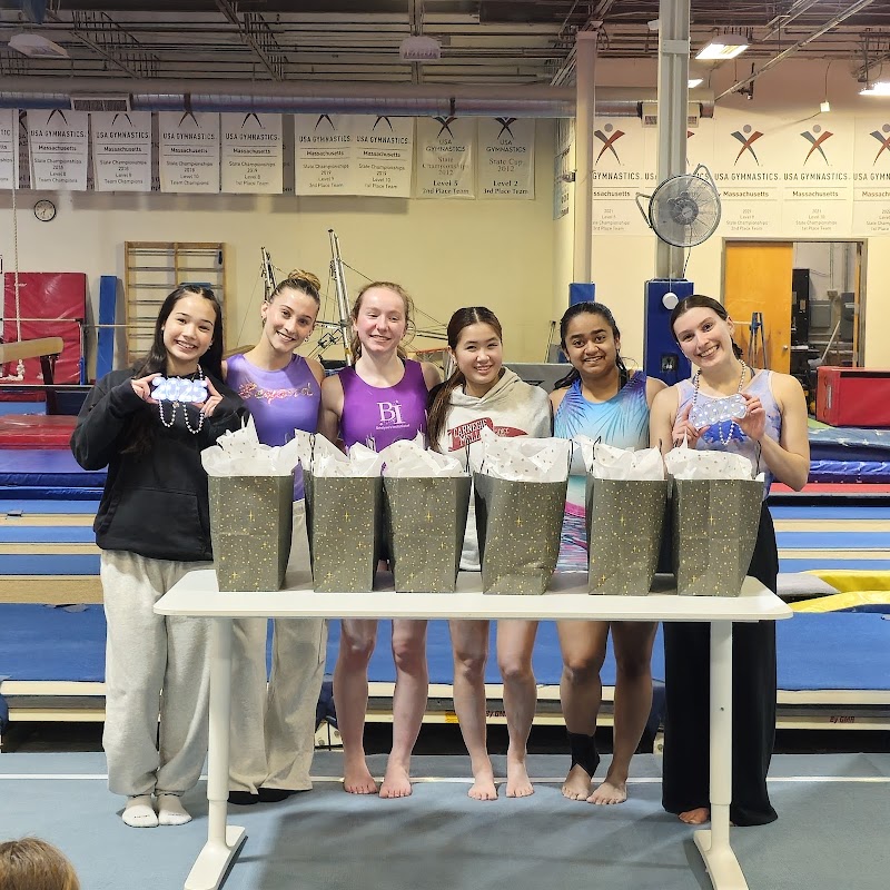 Brestyan's American Gymnastics photo 2