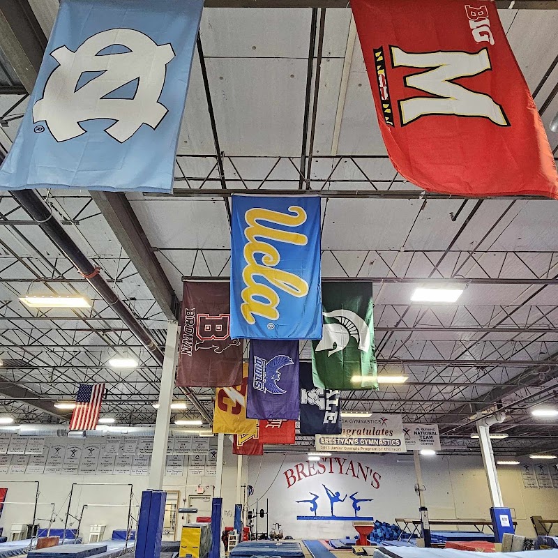 Brestyan's American Gymnastics photo 3