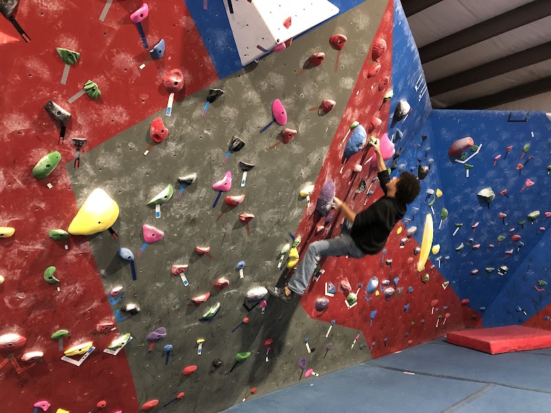 New Vision Gymnastics