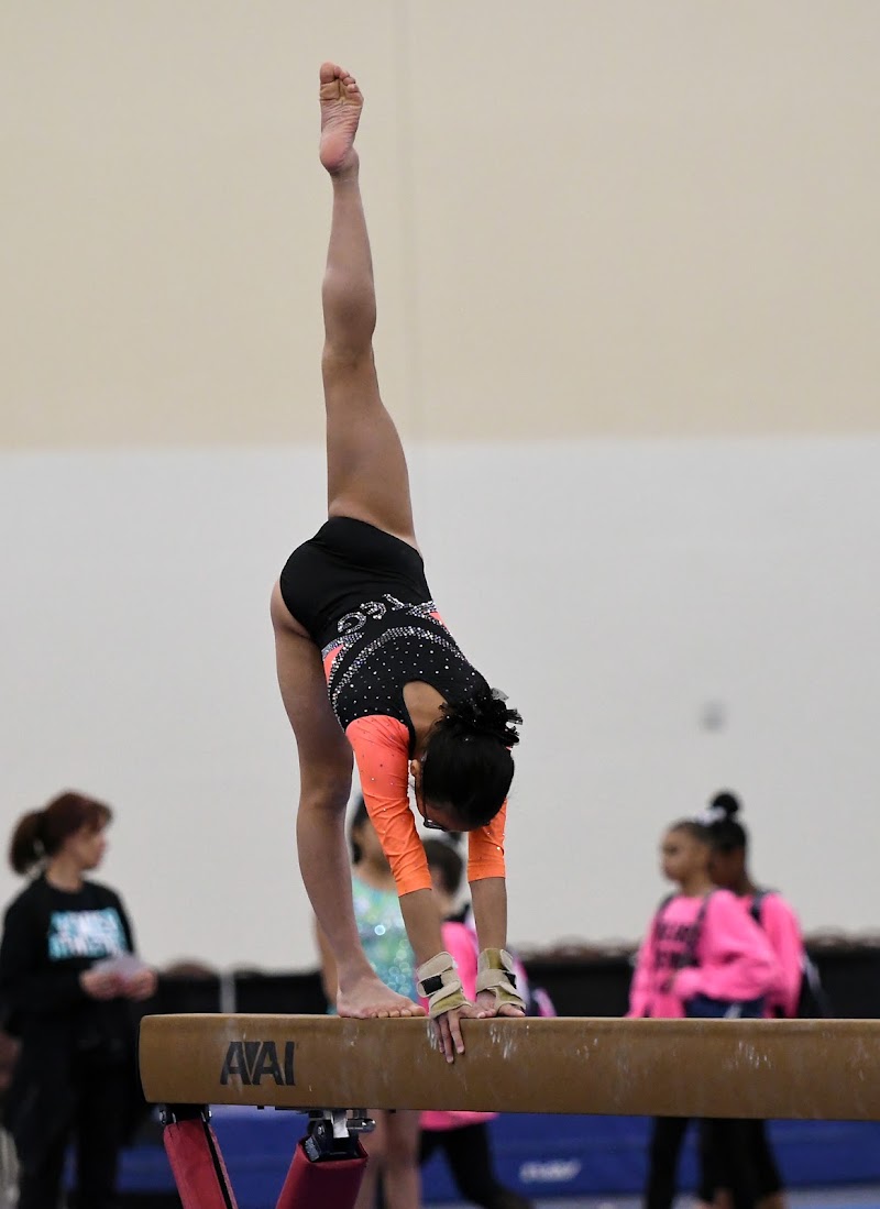 Tennessee Elite Gymnastics photo 2