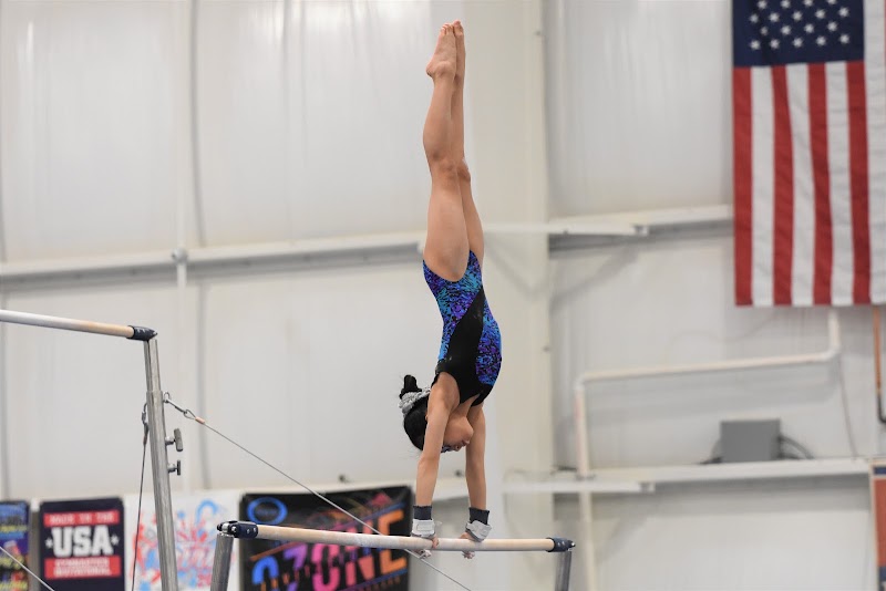 Tennessee Elite Gymnastics photo 3