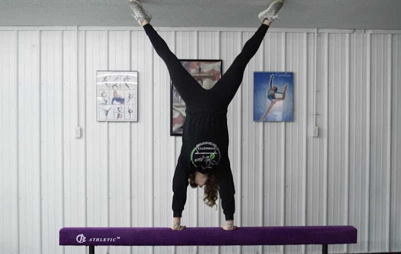 Wabash Fireflies Gymnastics photo 3