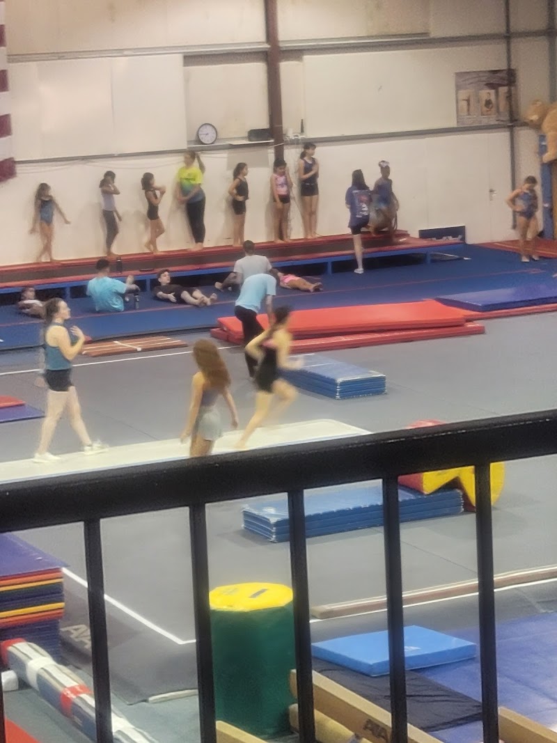 Central California Gymnastics Institute