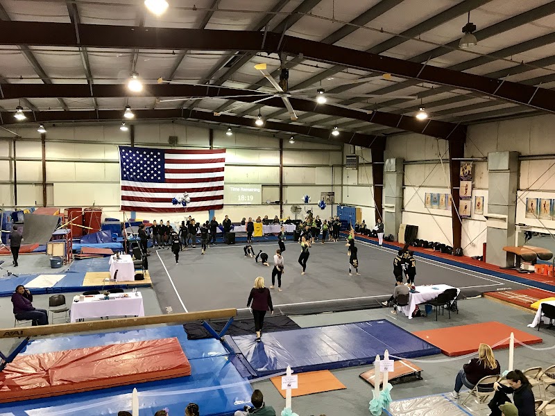 Central California Gymnastics Institute photo 2