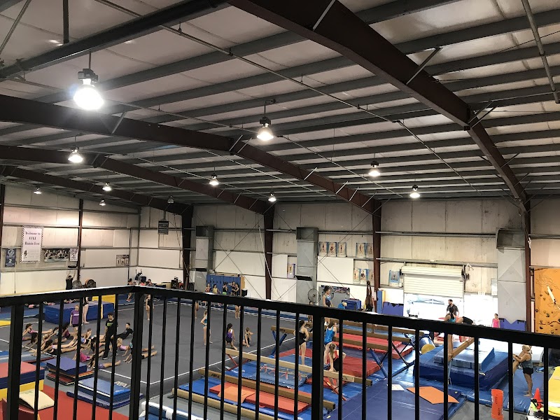 Central California Gymnastics Institute photo 3