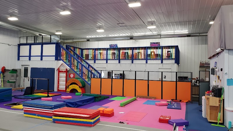 Flex Gymnastics photo 2