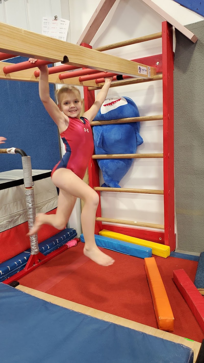 Flex Gymnastics photo 3