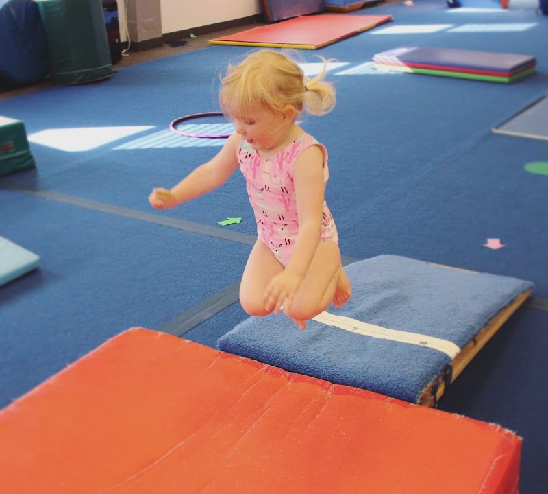 Madison Turners Gymnastics photo 2