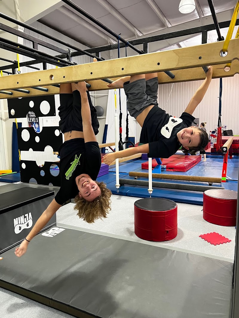 Head Over Heels Gymnastics photo 3