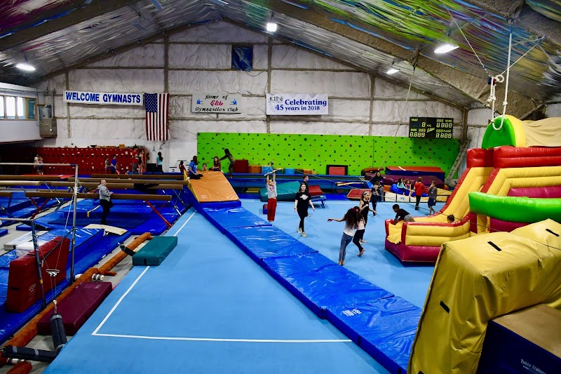 Elite Gymnastics Club photo 2
