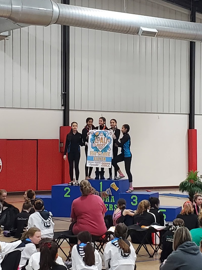 Tri Star Gymnastics Inc. photo 2