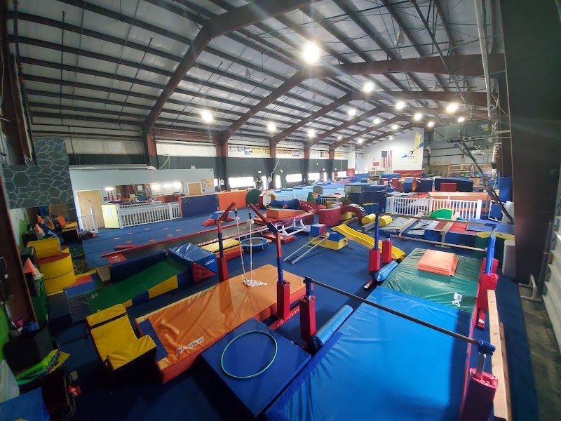 Westys Gymnastics photo 2