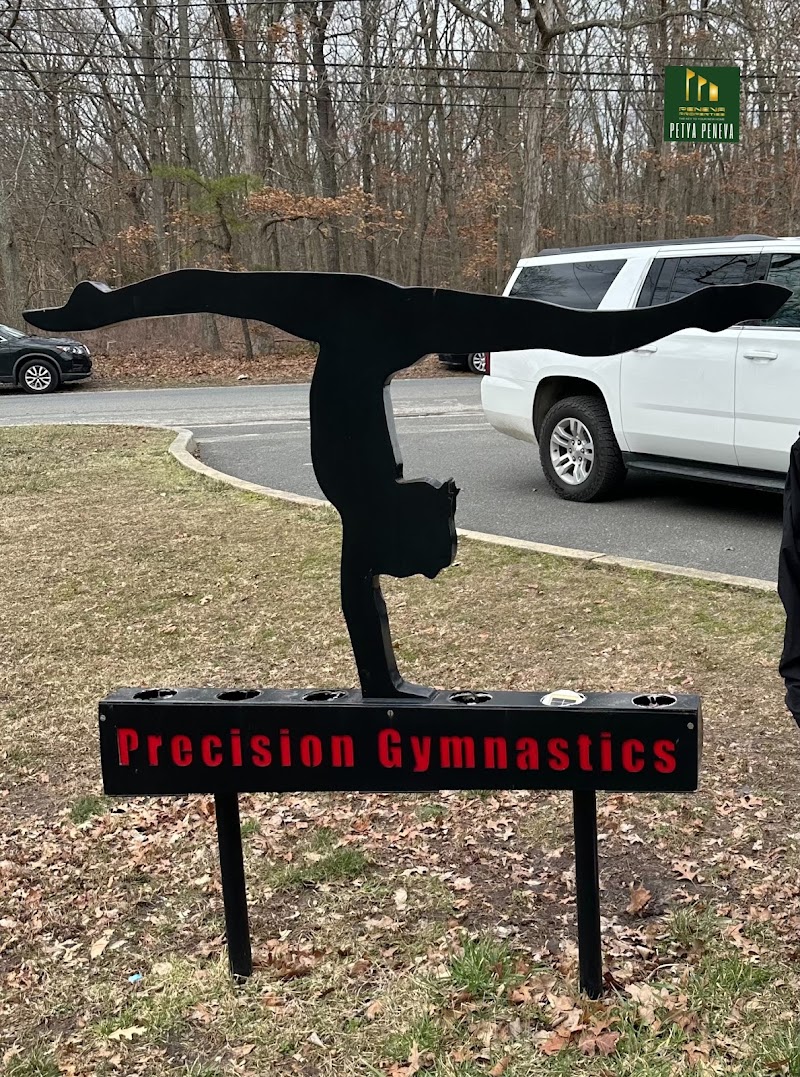 Precision Gymnastics Inc. photo 2