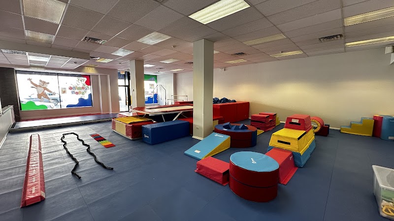 Baby Gym