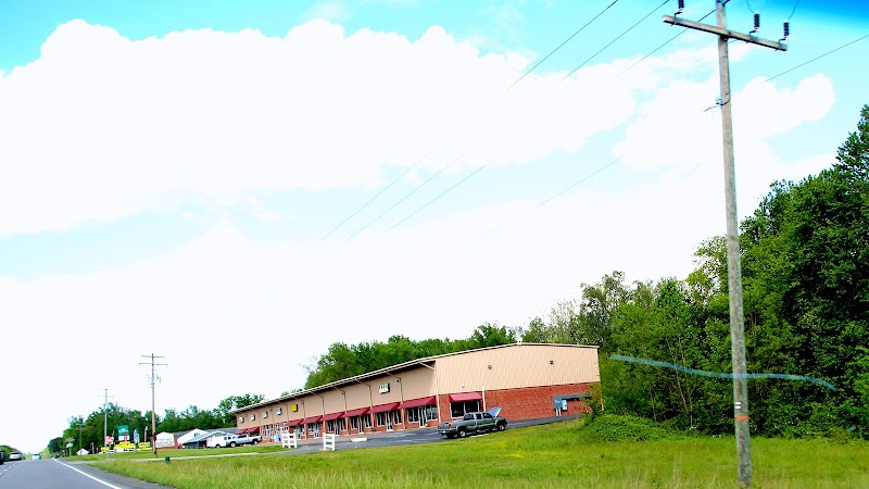 Premier Olympic Gymnastics Academy