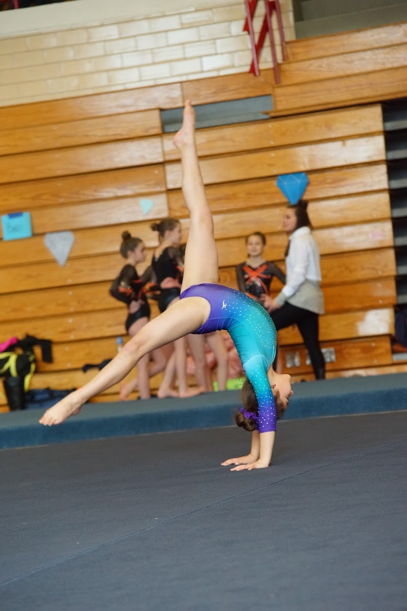The Dance Refinery Inc. photo 2