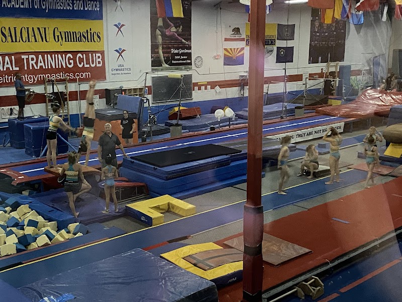 Academy of Gymnastics - Salcianu Gymnastics photo 2