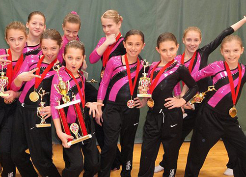 Gymnastics Sports Academy