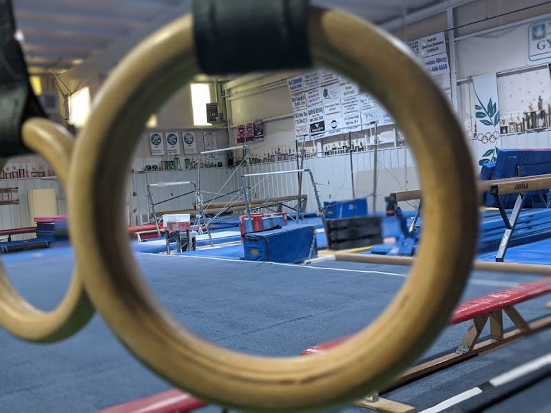 Newnan School of Gymnastics photo 2