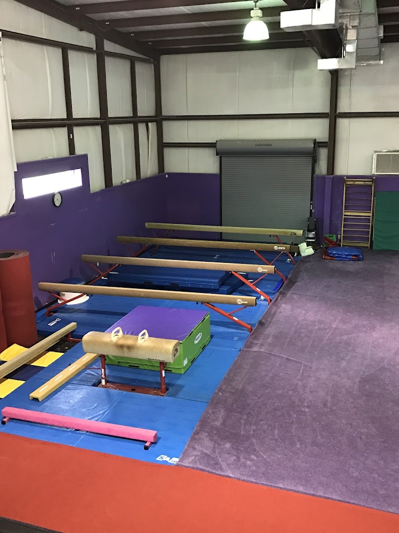 Premier Gymnastics Academy photo 2