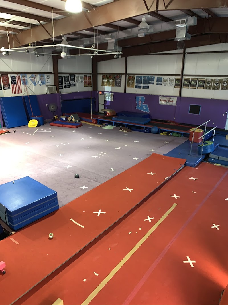 Premier Gymnastics Academy photo 3