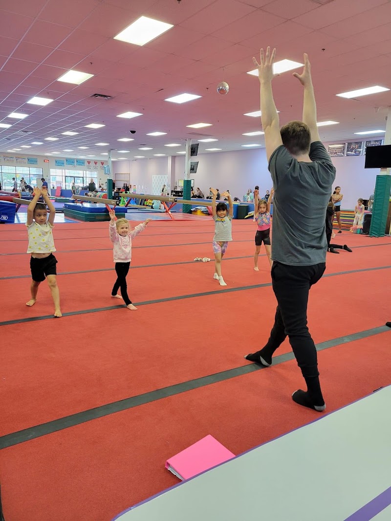 Twist'N Flip Gymnastics photo 2