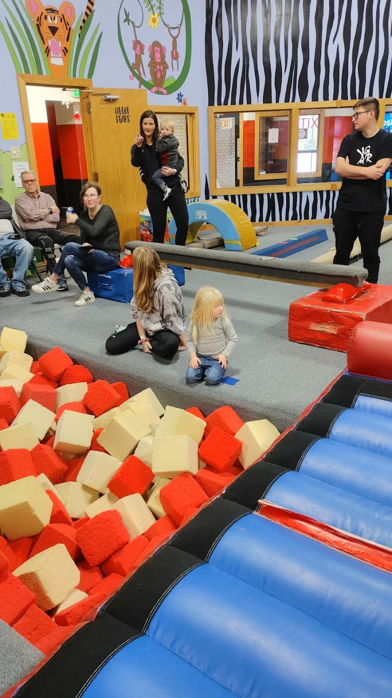 Gymnastic Academy of Rockford photo 3