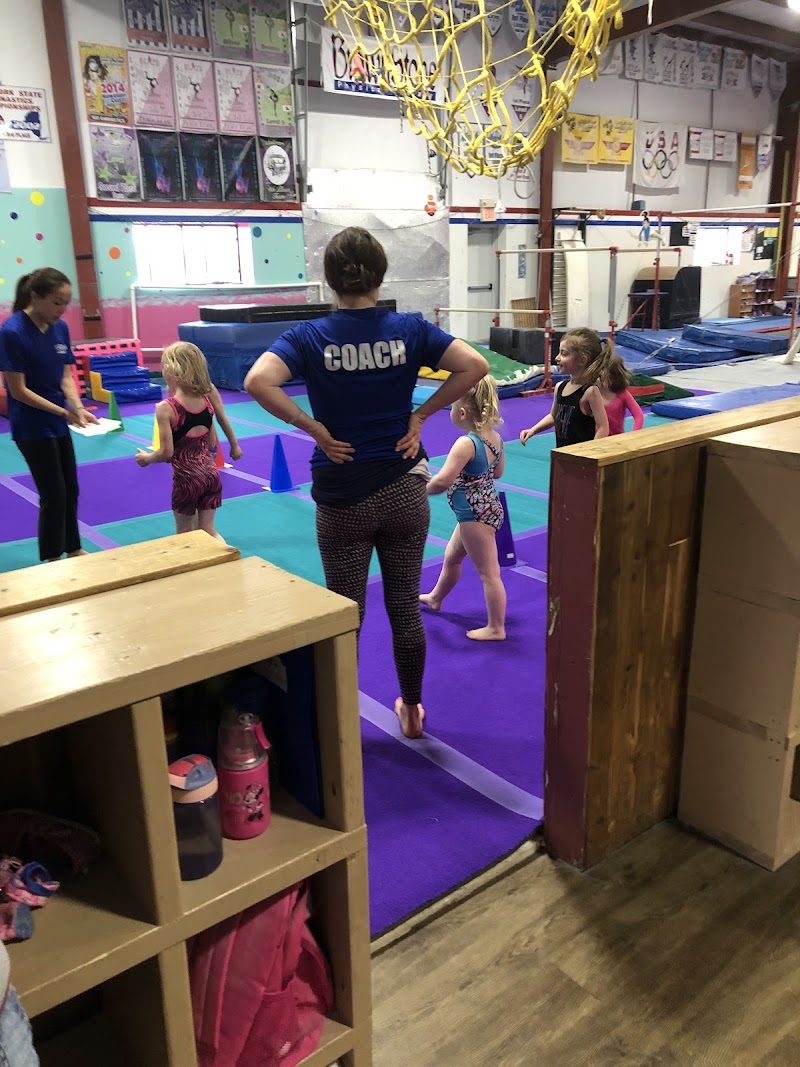 Eagle Gymnastics photo 2